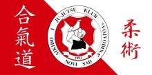 aikidovojvodina logo